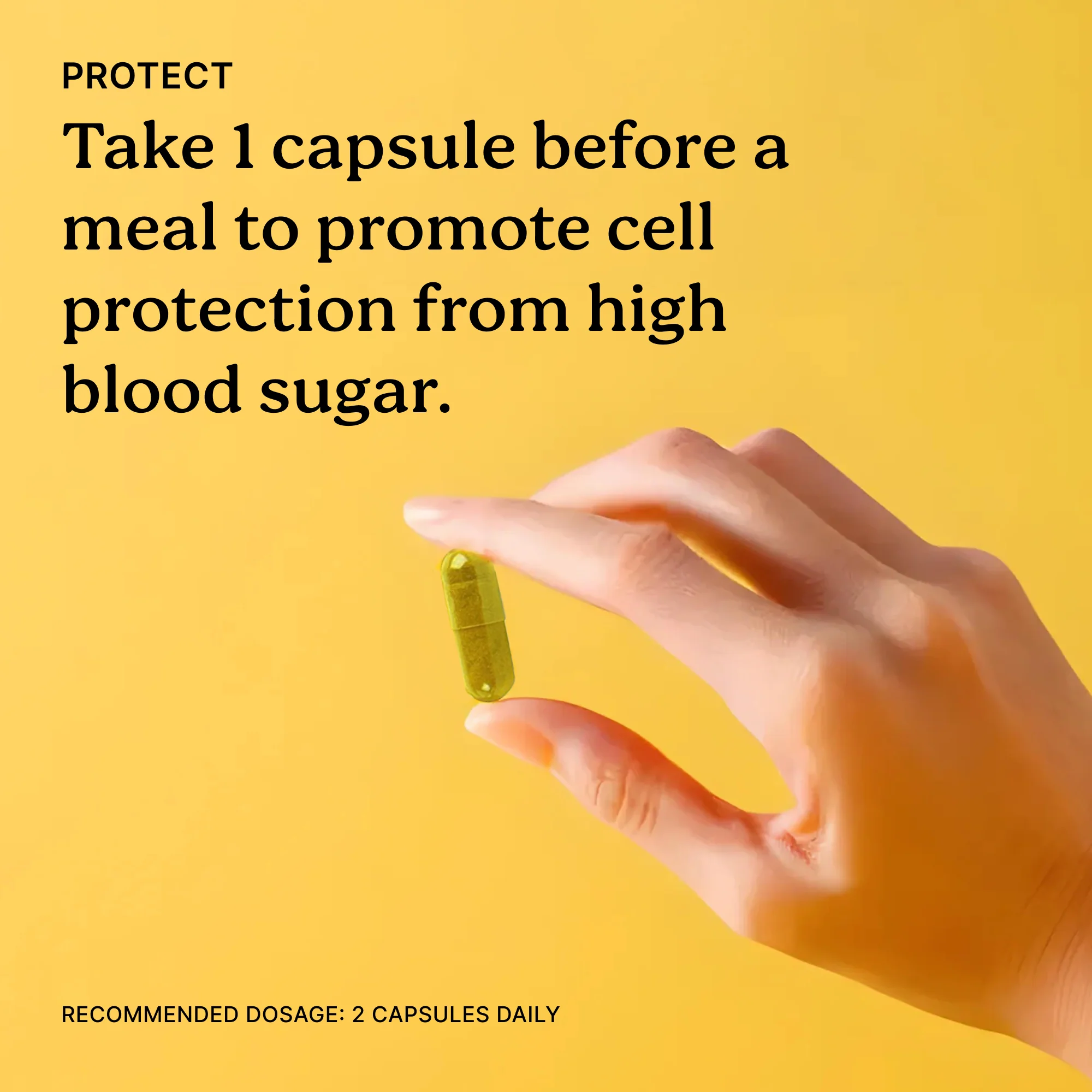 Sugar Guard Kit - Image 3